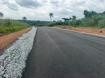 Residential Land Facing The Major Road, Success Park Estate Commercial, Obafemi Owode, Ogun, Mixed-use Land for Sale