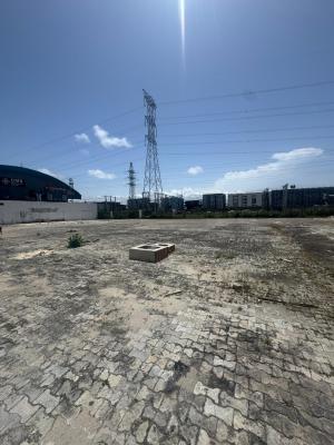 2,300sqm Massive Land Facing The Express Road, Ikate, Lekki, Lagos, Land for Sale