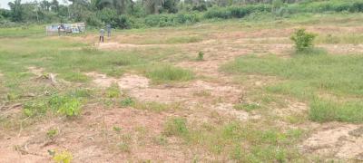 Land in Serene Location with Verified Title, Champions Colony Estate, Ijebu East, Ogun, Mixed-use Land for Sale