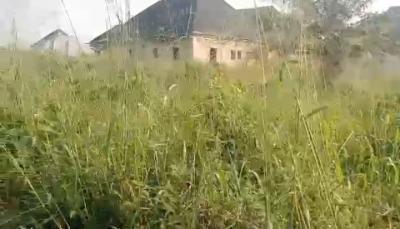 100ft X 100ft Along Ogheghe Community Tarred Road Which Can Be Navigat, Along Ogheghe Community Tarred Road, Benin, Oredo, Edo, Mixed-use Land for Sale