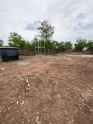 Palm Trees, Plantain and Coconut Farmland in Abeokuta, Alabata Abeokuta, The Product Will Be Managed By The Company, Abeokuta South, Ogun, Commercial Land for Sale