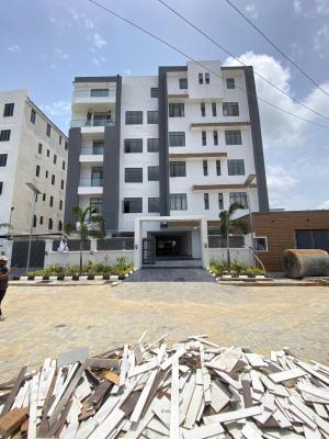 Exquisitely Built 2 Bedroom Apartment with,pool, Elevator,gym, Ikate, Lekki, Lagos, Terraced Duplex for Sale