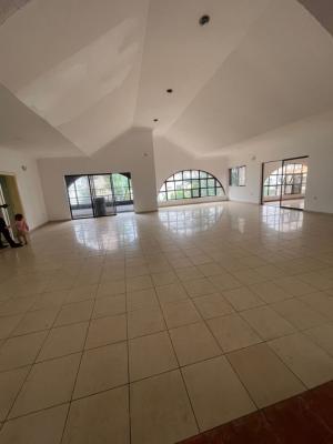 Large 4 Bedroom Penthouse, Lekki Phase 1, Lekki, Lagos, House for Rent