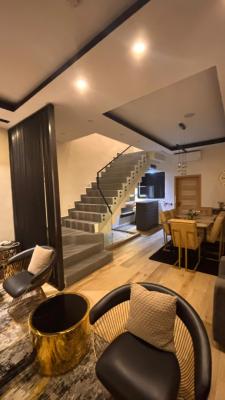 Brand New 3 Bedroom Terrace Duplex