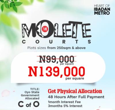 Premium Luxury Land, Molete Court, Ibadan Metro, Molete, Ibadan, Oyo, Residential Land for Sale