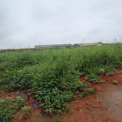 Fenced & Gated 12 Plots of Empty Land Facing Expressway, After Mowe Bus Stop, Along Lagos-ibadan Expressway, Mowe Town, Ogun, Commercial Land for Rent
