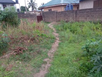 Fenced & Gated Dry Plot of Land in a Developed Area, Short Drive From Arepo Bus Stop, Orita Federal, Orinmerumu, Asese, Ibafo, Ogun, Residential Land for Sale