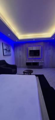 Brand New Furnished One Bedroom, Garki 2, Garki, Abuja, Flat / Apartment for Rent