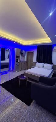 Brand New Furnished Self Contain, Garki 2, Garki, Abuja, Flat / Apartment for Rent