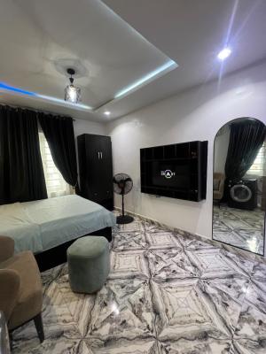 Fully Serviced Studio Apartment , Spacious Rooms in a Serene Area, Jibowu, Yaba, Lagos, Self Contain (single Rooms) for Rent