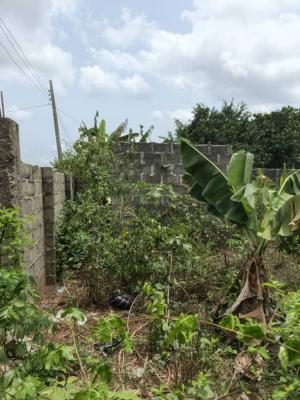 Fenced & Gated Full Plot Near Bus Stop, Opic Estate Area 5, Cashier Bus Stop, Agbara, Agbara-igbesa, Lagos, Mixed-use Land for Sale
