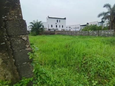 Once-in-a-lifetime:500sqm Land, Okun Ajah Off Costal Road Already Developed Environment, Okun-ajah, Ajah, Lagos, Mixed-use Land for Sale