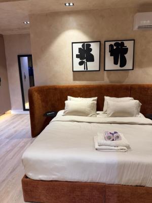 Furnished One Bedroom Flat in Brand New Building — Victoria Island (VI), Lagos
