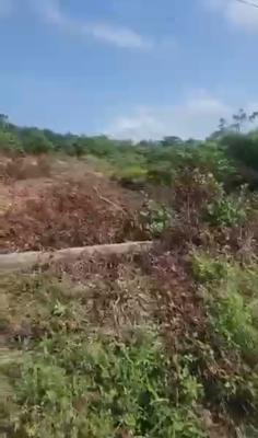 Dry and Good Deal in a Secured Estate, Sangotedo, Ajah, Lagos, Mixed-use Land for Sale