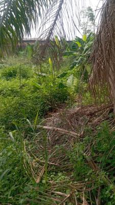 675sqm Land in a Secured Gated Estate, Labak Estate, Abule Egba, Agege, Lagos, Residential Land for Sale