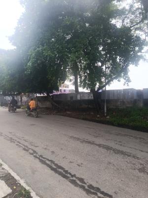 One Hectare of Land Fenced Round with Gate, Off Herbert Macaulay, Adekunle, Yaba, Lagos, Mixed-use Land for Sale