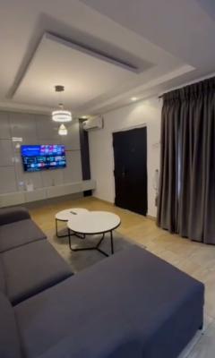 Luxury Well-finished 2 Bedroom Apartment (furnished and Unfurnished), Ebute Metta West, Yaba, Lagos, Flat / Apartment for Rent