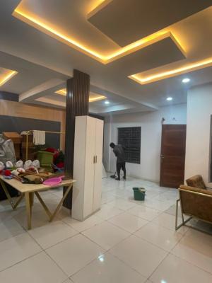 Exquisite 2 Bedroom Apartment, Ologolo, Lekki, Lagos, Flat / Apartment for Rent