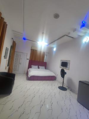 Spacious Palor Studio Apartment at Spring Garden Orchid Road, Spring Gardens Estate Orchid Road, Lekki, Lagos, Self Contain (single Rooms) for Rent