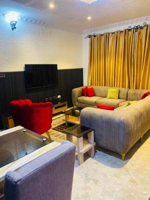 1 Bedroom Apartment, Magodo Phase 2, Magodo, Lagos, Mini Flat (room and Parlour) Short Let
