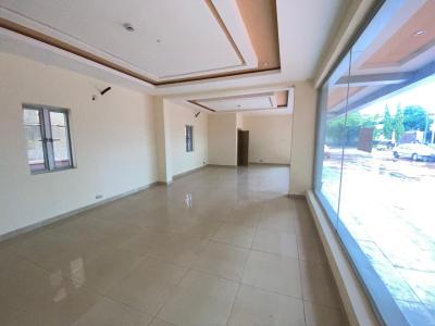 Newly-built Pharmacy Shop, Gwarinpa, Abuja, Shop for Sale