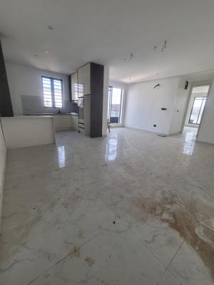 Newly Built 2 & 3bedroom Apartment with Bq, Lekki Phase 1, Lekki, Lagos, Flat / Apartment for Rent