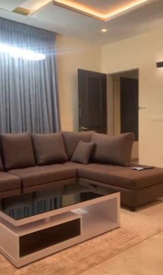 Tastefully Furnished and Serviced with 24/7 Power Supply 1 Bedroom Fla, Ikoyi, Lagos, Mini Flat (room and Parlour) for Rent