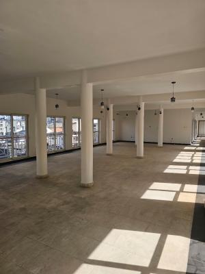 Luxury 4 Bedroom Penthouse + Bq, Open Terrace, Oniru, Victoria Island (vi), Lagos, Flat / Apartment for Rent