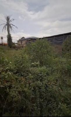 Prim Residential Land, Off Odunbanwo Road, By Olaniyi Road, New Oko-oba, Agege, Lagos, Residential Land for Sale