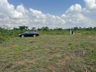 Dry & Affordable Land with C of O, Mowe Ofada, Ogun, Residential Land for Sale