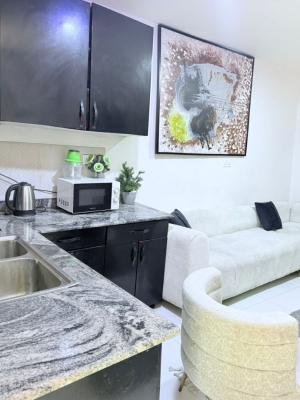 Luxury 1-bedroom Flat with Excellent Facility, Lekki Phase 1, Lekki, Lagos, Mini Flat (room and Parlour) for Sale