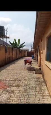 3 Nos of 2 Bedroom Flat and 1 Mini Flat, Adensi Bus Stop,lasu, Isheri, Lagos, Block of Flats for Sale