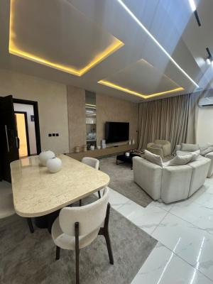 Spacious 2-bedroom Fully Furnished Serviced Apartment, Ikate, Lekki, Lagos, Flat / Apartment for Rent