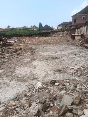 a Bareland Measuring 1600sqm, Gra Phase 2, Magodo, Lagos, Residential Land Joint Venture