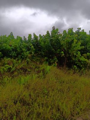 618 Sqm of Land, Ajayi Apata, Beside Fara Park Estate, Sangotedo, Sangotedo, Ajah, Lagos, Residential Land for Sale