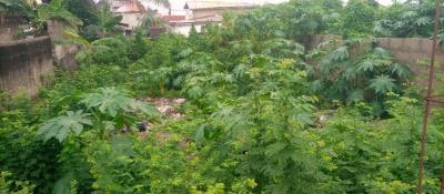 Prime Development Land -- Alapere, Lagos ​located at Bakare, Bakare Street, Off Oriola, Alapere, Ketu, Alapere, Ketu, Lagos, Residential Land for Sale
