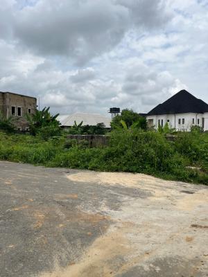 a Parcel of Dry Land, Behind Nellyani Estate Ifa Ikot Okpong, Uyo, Akwa Ibom, Residential Land for Sale