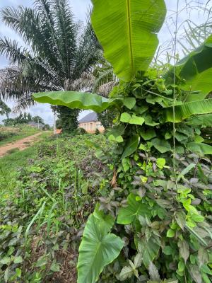 a Parcel of Land, Nung Ette, Uyo, Akwa Ibom, Residential Land for Sale