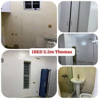 Lovely Mini Flat, Thomas Estate, Ajah, Lagos, Mini Flat (room and Parlour) for Rent
