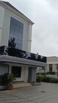Iconic 22 Bedroom Mansion, Asokoro District, Abuja, Detached Duplex for Sale