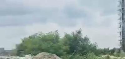50 Hectares of Land