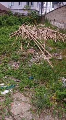 3005 Sqmt of Bare Land at Medina Estate, Medina Estate, Gbagada, Lagos, Residential Land for Sale