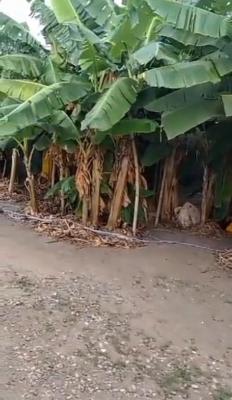 300sqmt of Bare Land, Atunrase Estate, Gbagada, Lagos, Land for Sale
