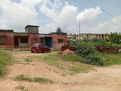 2 Units of Existing 3-bedroom Flat Situated on 1000sqm Plot of Land, Orita-challenge, Ibadan, Challenge, Ibadan, Oyo, Block of Flats for Sale