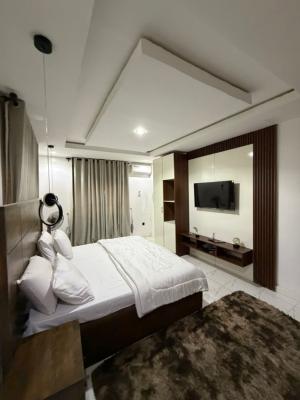 Furnished 3bedroom Flat with Attached Bq, Wuse 2, Abuja, Flat / Apartment for Rent