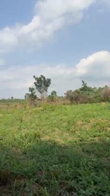 Lovely 10 Acres of Farmland, Baale Village,  Elekuru Area Off Moniya-iseyin Road, Moniya, Ibadan, Oyo, Commercial Land for Sale