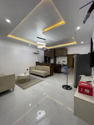 Furnished and Spacious Miniflat (room& Parlour) with Good Electricity, Estate Behind Royal Garden, Ajah, Lagos, Mini Flat (room and Parlour) for Rent