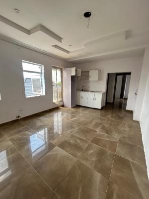 Well Maintained and Serviced One Bedroom Apartment, Chevy View Estate, Lekki, Lagos, Mini Flat (room and Parlour) for Rent