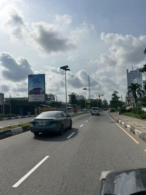 1000sqm Bare Land Facing The Road, Victoria Island, Victoria Island (vi), Lagos, Commercial Land for Rent