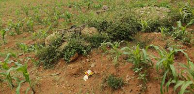 Prime Mixed-use Development Land of About 111.32 Hectares, Guzape District, Abuja, Mixed-use Land for Sale